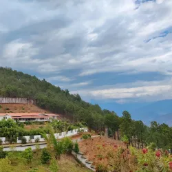 Sangchhen Dorji Lhuendrup Lhakhang Nunnery - Punakha