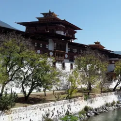 Wangdue Phodrang Dzong (near Punakha) - Punakha