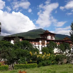 Wangdue Phodrang Dzong (near Punakha) - Punakha