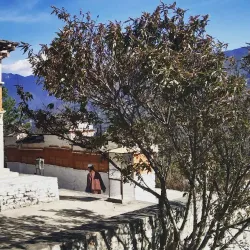 Changangkha Lhakhang - Thimphu