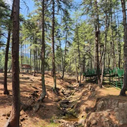 Motithang Takin Preserve - Thimphu