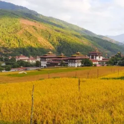 Tashichho Dzong - Thimphu