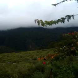 Mangdechu River - Trongsa