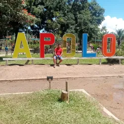 Apolo Market - Apolo