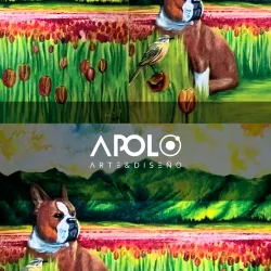 Local Handicraft Workshops - Apolo