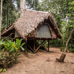 Madidi National Park (Access Point) - Apolo