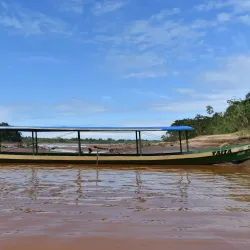 Madidi National Park (Access Point) - Apolo