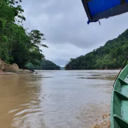 Madidi National Park (Access Point) - Apolo