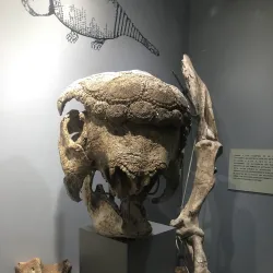 Museo de Historia Natural Alcide d'Orbigny - Cochabamba