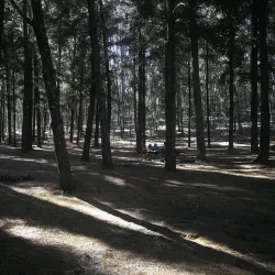 Parque Tunari - Cochabamba