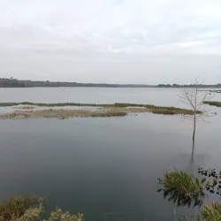 San Ignacio de Velasco Cathedral - San Ignacio de Velasco