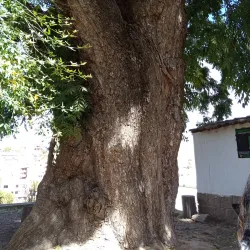 Museo de la Recoleta - Sucre