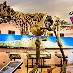 Parque Cretácico - Sucre