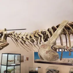 Parque Cretácico - Sucre