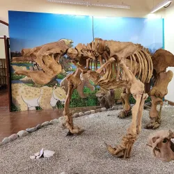 Museo Paleontológico - Tarija