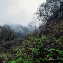 Parque Nacional Aguaragüe - Tarija