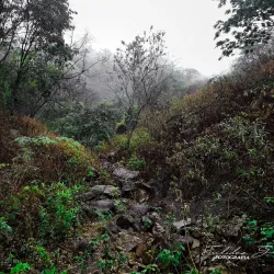 Parque Nacional Aguaragüe - Tarija