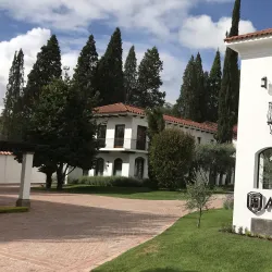 Viñedos de Tarija (Tarija Vineyards) - Tarija