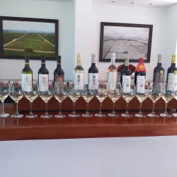 Viñedos de Tarija (Tarija Vineyards) - Tarija