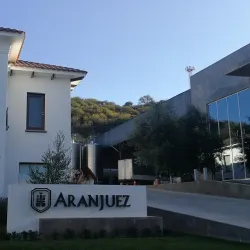 Viñedos de Tarija (Tarija Vineyards) - Tarija