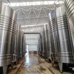 Viñedos de Tarija (Tarija Vineyards) - Tarija