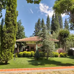 Viñedos de Tarija (Tarija Vineyards) - Tarija