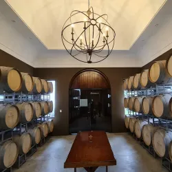 Viñedos de Tarija (Tarija Vineyards) - Tarija