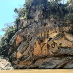 Beni River - Trinidad