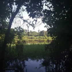 Beni River - Trinidad