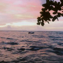 Beni River - Trinidad