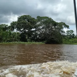 Ibare River - Trinidad