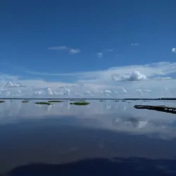 Laguna Suárez - Trinidad