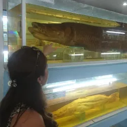 Museo Iténez - Trinidad