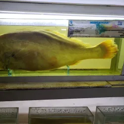 Museo Iténez - Trinidad