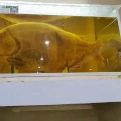 Museo Iténez - Trinidad