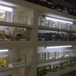 Museo Iténez - Trinidad