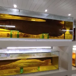 Museo Iténez - Trinidad