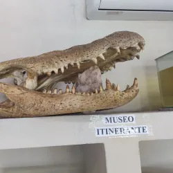 Museo Iténez - Trinidad