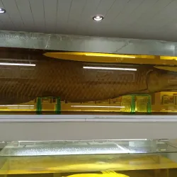 Museo Iténez - Trinidad