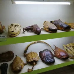 Museo Iténez - Trinidad