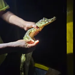 Reserva Ecológica Beni - Trinidad