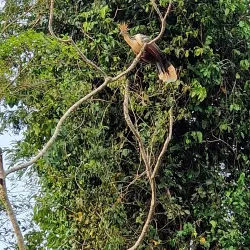 Reserva Ecológica Beni - Trinidad
