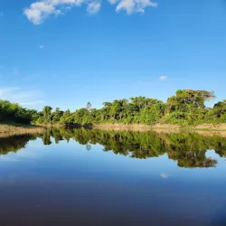 Reserva Ecológica Beni - Trinidad