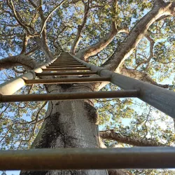 Reserva Ecológica Beni - Trinidad