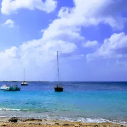 Bari Reef - Kralendijk