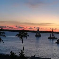 Bari Reef - Kralendijk