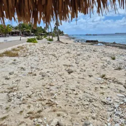 Bari Reef - Kralendijk