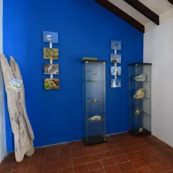 Bonaire Museum - Kralendijk