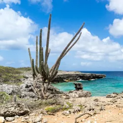 Bonaire National Marine Park - Kralendijk