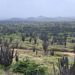 Bonaire National Marine Park - Kralendijk